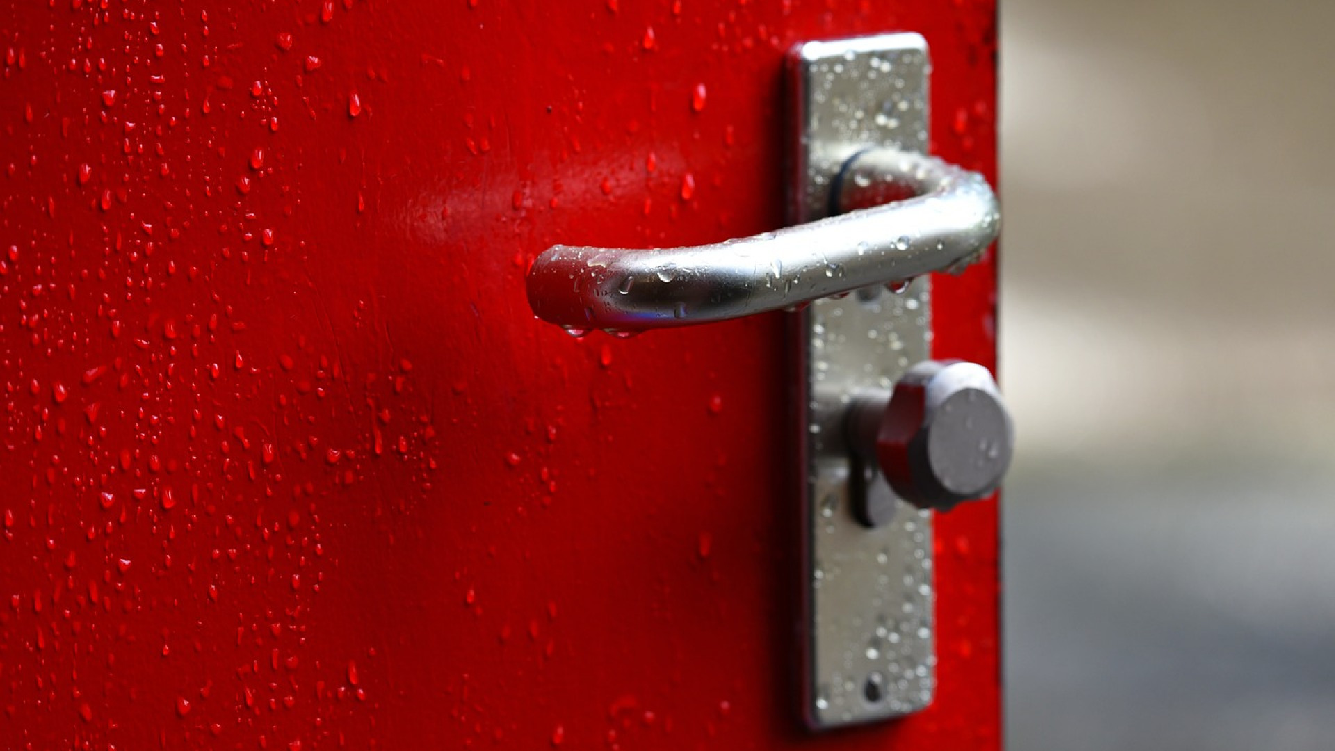 Nos idées pour installer une porte à la fois blindée et design