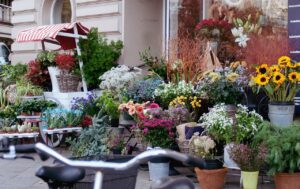 Fleuriste professionnel
