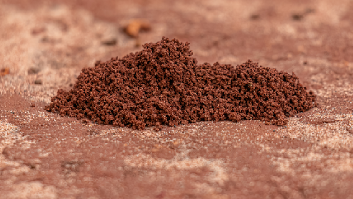 Terre de diatomée