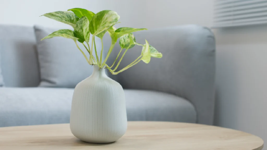 table basse design made in design