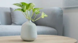 table basse design made in design