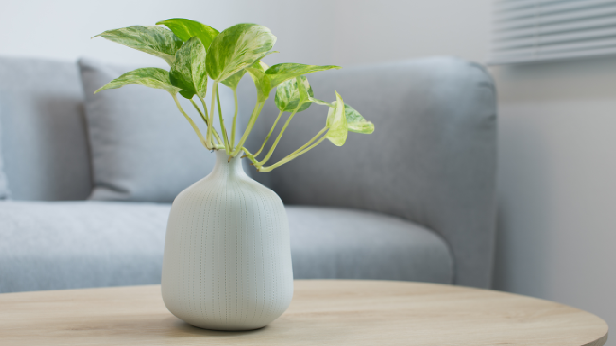 table basse design made in design